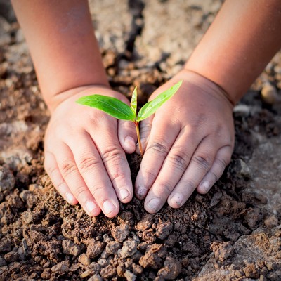 Les petits secrets de la nature, la biodiversité